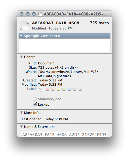 Mountain_lion_6